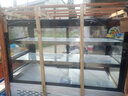 英航凉菜展示柜熟食卤肉卤菜保鲜鸭脖柜商用小型保鲜柜烧烤串串点菜柜冰柜展示柜鸭货保鲜柜摆摊冷藏柜 直角款-三层制冷-后开门【行业领先款】 长1.3m宽65厘米 高1.2m 实拍图