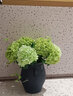 野派手感保湿仿真花绣球花假花客厅花瓶花艺摆件家居插花高端软装饰品 绿色手感保湿绣球 1支 实拍图