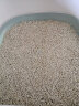 洁客（Drymax）植物结团猫砂奶香味豆腐砂2.72kg 实拍图