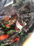 红珍 果丹皮蜜饯山楂果脯儿童零食小吃独立包装河北特产 果丹皮/VC山楂/铁山楂混合500g 实拍图
