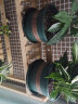 墨斗鱼 园艺加仑花盆矮款3件装1加仑 种植植物花卉绿植PP树脂加仑塑料花盆送花盆托盘 实拍图