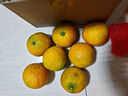 集年鲜赣南脐橙手剥甜橙子新鲜现摘生鲜水果整箱节日送礼 净重2.6斤初恋果（单果100-149g) 实拍图