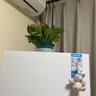 缤贤绿萝盆栽室内办公室植物大叶吊兰花卉绿植绿箩盆景吸水盆懒人 180#加仑盆绿萝四盆+2液 实拍图