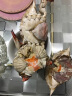 三座海 鲜活梭子蟹 莱州湾新鲜飞蟹 红膏母蟹 鲜活螃蟹 海鲜礼盒 10只装 每只半斤 鲜螃蟹礼盒 晒单实拍图