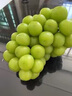 果贤达晴王阳光玫瑰葡萄日本引进品种当季新鲜无核无籽香印葡萄水果 1.5斤 【尝鲜装】 实拍图