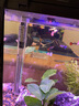 博宇（BOYU）鱼缸水族箱增氧生态鱼缸带柜子客厅家用小金鱼缸玻璃造景吧台地柜 MS-320懒人鱼缸 黑色鱼缸 实拍图