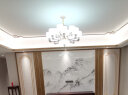东羽 新中式客厅吊灯中国风玉石卧室餐厅茶楼别墅大气书房创意灯具 12头-电镀工艺-封口灯罩 实拍图