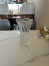 透明玻璃透明加厚花瓶摆件客厅插花花瓶干花富贵竹百合花瓶欧式餐桌水培花瓶 25凤尾高约24CM 实拍图