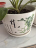 裕轩堂陶瓷花盆中国风梅兰竹菊桌面地面盆栽多肉带托盘简约绿萝吊兰植物 79084竹 大号口径约17厘米 实拍图