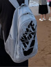 耐克NIKE男女通款双肩包旅行包HAYWARD休闲包DV1296-012灰色中码 实拍图