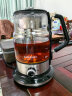 金灶（KAMJOVE）煮茶壶大容量喷淋式煮茶器白茶黑茶蒸茶器蒸汽煮茶烧水壶茶具 实拍图
