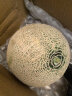 京鲜生 网纹蜜瓜 2粒装 净重2kg 单果1kg  礼盒生鲜水果 实拍图