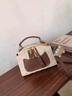 路易礼察品牌包包女包新款单肩斜挎包手提包时尚枕头包520七夕情人节礼物 米白咖【礼盒装】 21*10.5*13.5cm 实拍图