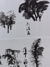 陆俨少教授课徒稿（树法） 实拍图
