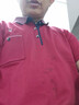 花花公子2025夏季中年男士短袖T恤中老年翻领父亲男装宽松体恤爸爸装 9828酒红色 175码【建议140--160斤】 实拍图