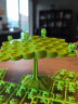 途象 青蛙平衡树叠叠乐桌面游戏平衡太空人小学生桌游儿童益智玩具  晒单实拍图