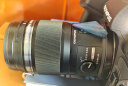 奥林巴斯（OLYMPUS）M.ZUIKO DIGITAL ED 60mm F2.8 Macro 微距镜头 微单镜头 防尘防水溅 实拍图