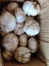 仙果春天精打细蒜 新鲜生鲜蔬菜多瓣大蒜头无添加正宗 干大蒜中果 1500g 实拍图