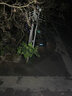 朋科led户外防水照明灯50w100w厂房室外灯庭院灯接电工业工地照明灯 【100W 白光】高亮节能 防水耐用 实拍图
