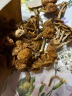 喜食锦榛蘑150g可搭东北野生蘑菇干货茶树菇干香菇小香菇小鸡炖蘑菇食材 晒单实拍图