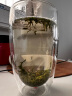 雅集双层玻璃杯 家用防烫水杯子绿茶杯 450ml 晒单实拍图