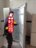 澳柯玛（AUCMA）冰箱双开门家用电冰箱一级能效风冷无霜大容量冰箱二门对开门双变频612升以旧换新 BCD-612WPNE 实拍图