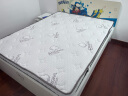 金海马席梦思床垫弹簧椰棕床垫1.9单双人偏硬床垫1.5米的床垫子21CM厚 晒单实拍图