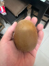 佳沛（zespri）新西兰阳光金奇异果6粒装 经典果单果约80-103g 水果 猕猴桃 实拍图