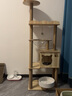 猫爬架太空舱木质多层大型猫树猫架带窝宠物用品 【萌喵乐园Y9】加大猫窝1个太空舱（升级实木柱） 家具板 实拍图