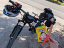 西骑者（WestBiking）自行车包尾包公路山地车驼包防水货架驮包大容量川藏骑行双侧包 黑色-28L 实拍图