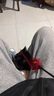 麦富迪佰萃猫粮 蓝猫美短英短布偶通用型天然粮 幼猫粮2kg 实拍图