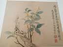 历代名绘真赏系列 画集 【恽寿平册页精选】 实拍图
