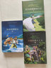 精装硬壳 环游世界八十天+尼尔斯骑鹅历险记+鲁滨逊漂流记 全3册 名师导读阅读鉴赏 提升读写能力丰富课外知识 中小学生课外书 实拍图