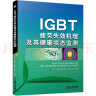 IGBT疲劳失效机理及其健康状态监测 实拍图