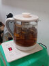 麦卓（MAKE JOY） 养生壶加厚玻璃电热水壶煮茶器家用办公室花茶壶中药壶煎药壶开水烧水壶电热水壶 迷你玻璃煮茶壶 PP底座（时控款）+滤网 1.8L 实拍图