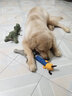 洛瑞夫宠物狗狗玩具发声柯基狗训练毛绒棉绳小型犬大型犬玩具磨牙玩具球 趴姿狼发声玩具 实拍图
