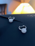 【品牌官方直售】APM Monaco新品迪斯科球圆圈耳环 尊享免息 耳饰时尚饰品 新年礼物 银色 晒单实拍图