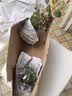叹为观止月季花苗盆栽绿植花卉四季开花植物长大可切花玫瑰 橙色玫瑰 不含盆 实拍图