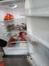 容声（Ronshen）容声(Ronshen)冰箱双两三开门小冰箱家用超薄风冷无霜/小型以旧换新节能保鲜荣升 冰箱 175升双门冰箱直冷节能BCD-175D16D 晒单实拍图