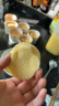 山润鲜胚原味玉米油5L物理压榨一级玉米胚芽食用油蛋糕烘焙 非转基因 晒单实拍图