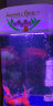 云峰海瑞 LED龙鱼缸灯水陆两用水中水草灯水族箱LED鱼缸灯具防水灯 A48CM蓝白红选一色 实拍图