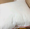 嘉诗纳抱枕芯儿内胆内芯靠垫芯正方形抱枕心沙发靠背靠枕芯 高弹棉（一只装） 65*85cm(适合60*80套用) 实拍图