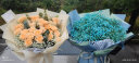 艾斯维娜520情人节鲜花速递满天星玫瑰花束送女友生日礼物全国同城配送 蓝色满天星款式-高雅款 实拍图