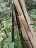 HUWAIREN弓箭反曲弓箭成人竞技训练复合弓滑轮弓专业射箭装备美猎弓箭射击 黑鹰反曲弓 远程套餐 45磅（实发40磅） 实拍图