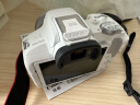 佳能（Canon）EOS R50 入门级微单反 半画幅数码相机 4k美颜小巧便携 EOS R50(RF-S 18-45套装）白旅行版 晒单实拍图