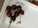 田良季车厘子樱桃【JD多地次日达】国产美早大樱桃5kg水果送礼品盒年货 1斤(净重) 礼箱装【不划算】 大果 J 26-28mm【个小不推荐】 实拍图