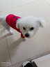 憨憨宠 狗狗衣服 猫衣服宠物衣服变身装猫咪衣服中小型犬幼犬秋冬服装 登峰造极款 M号建议体重4-7斤 实拍图