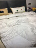 浪莎（LangSha）全棉国标羽绒被95白鹅绒被子冬被加厚保暖秋冬被褥空调棉质被芯纯 羽绒被-奶白色 200x230cm约8斤【已质检】 实拍图