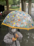 DJECO 雨伞儿童彩虹伞拱形手动亲子变色长柄透明女童男童机器人幼儿园 儿童透明雨伞-花鸟DD04804 实拍图