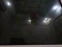 豫之韵假花藤条塑料绿植物花壁水管道装饰空调管遮挡吊顶装饰室内阳台 仿真葡萄叶（1包） 实拍图